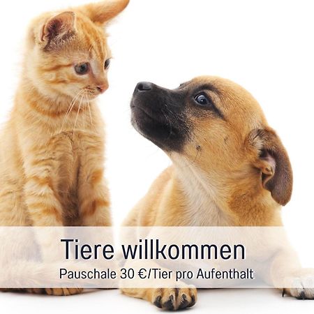 Rosmarin - Kuschelige Fewo - Romantik & Entspannung Im Whirlpool Auf Privater Terrasse, Ruhe & Hund Willkommen - By Ferienwohnenamsee - Юберлинген Екстериор снимка